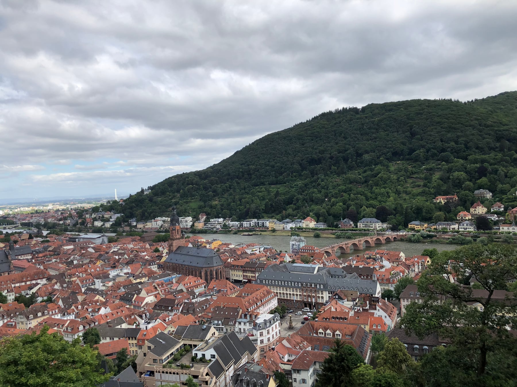 Heidelberg rooftops, river, and old bridge beneath cloudy skies