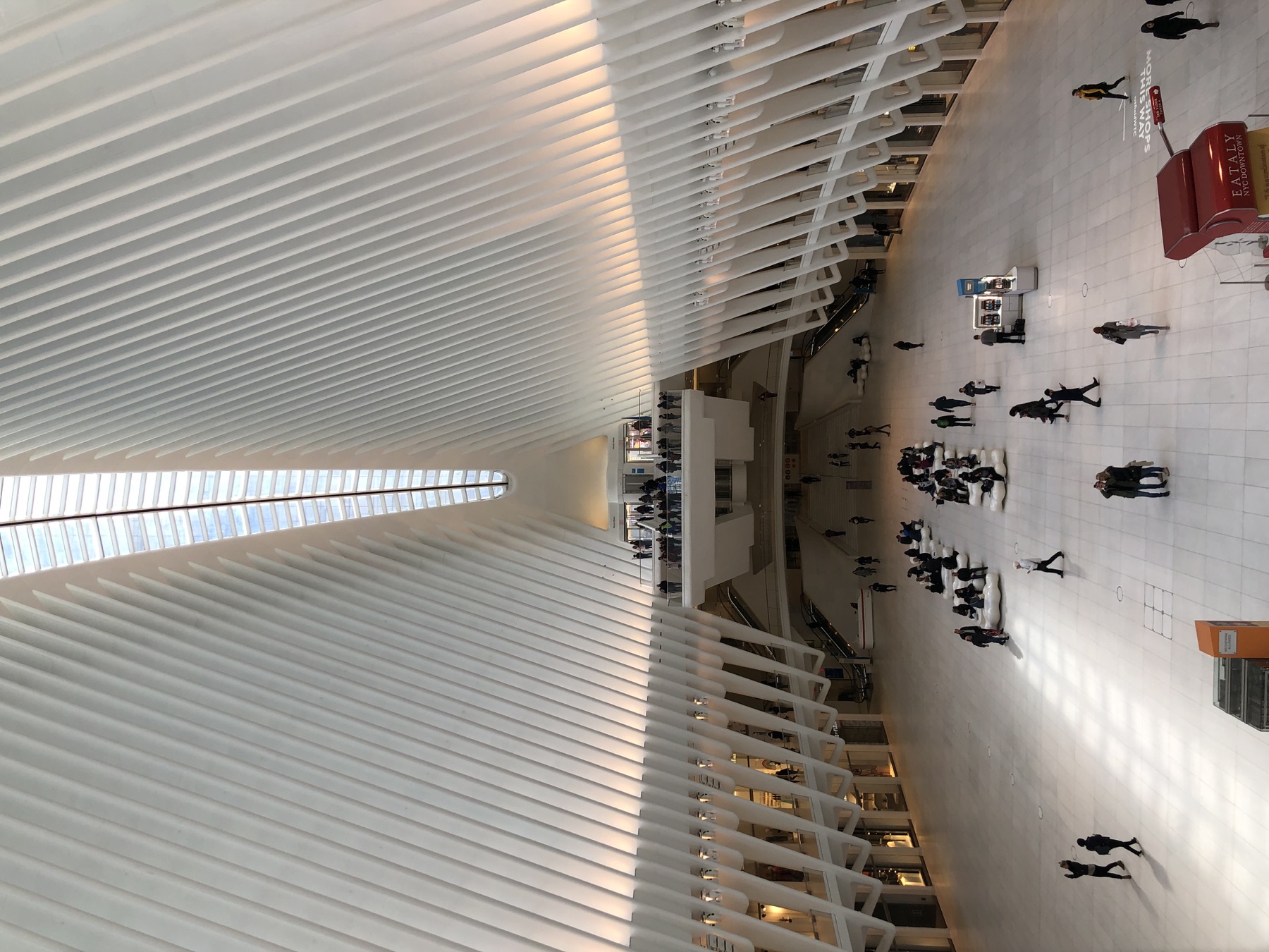 White ribbed interior of the Oculus opening toward a skylight
