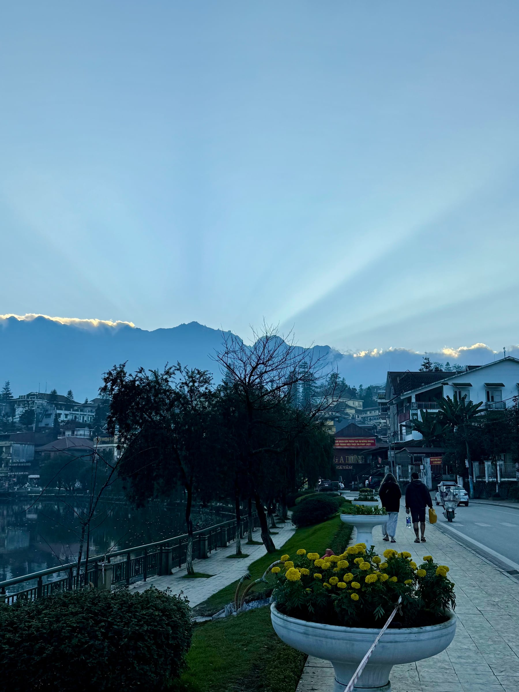 Lakeside street, yellow flowers, and mountains beneath blue morning light